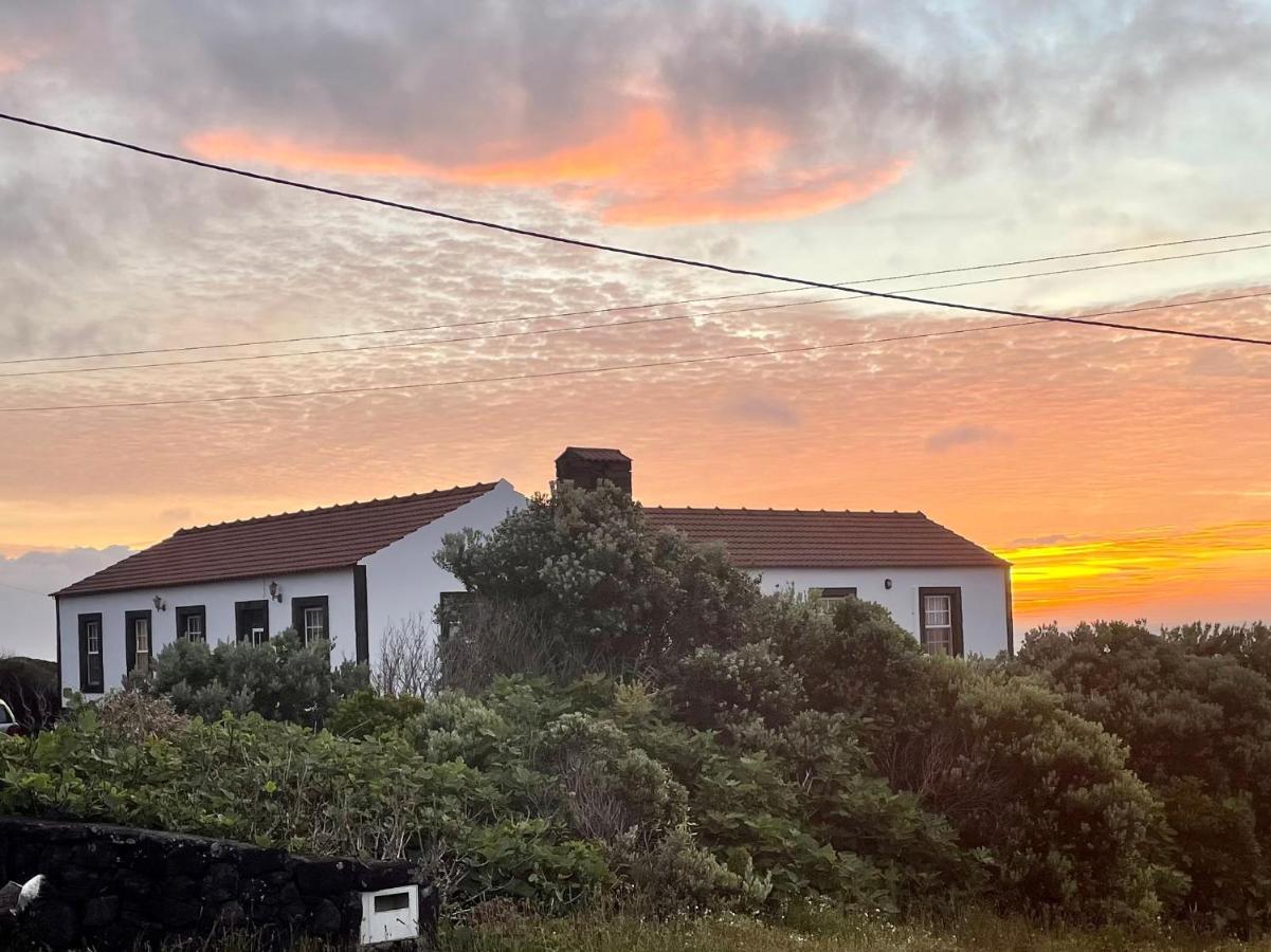 Dream By The Sea Villa Madalena  Exteriör bild